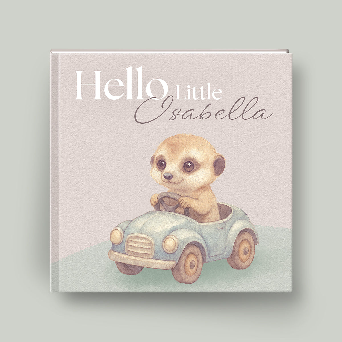 Hello Little Baby Personalized Book