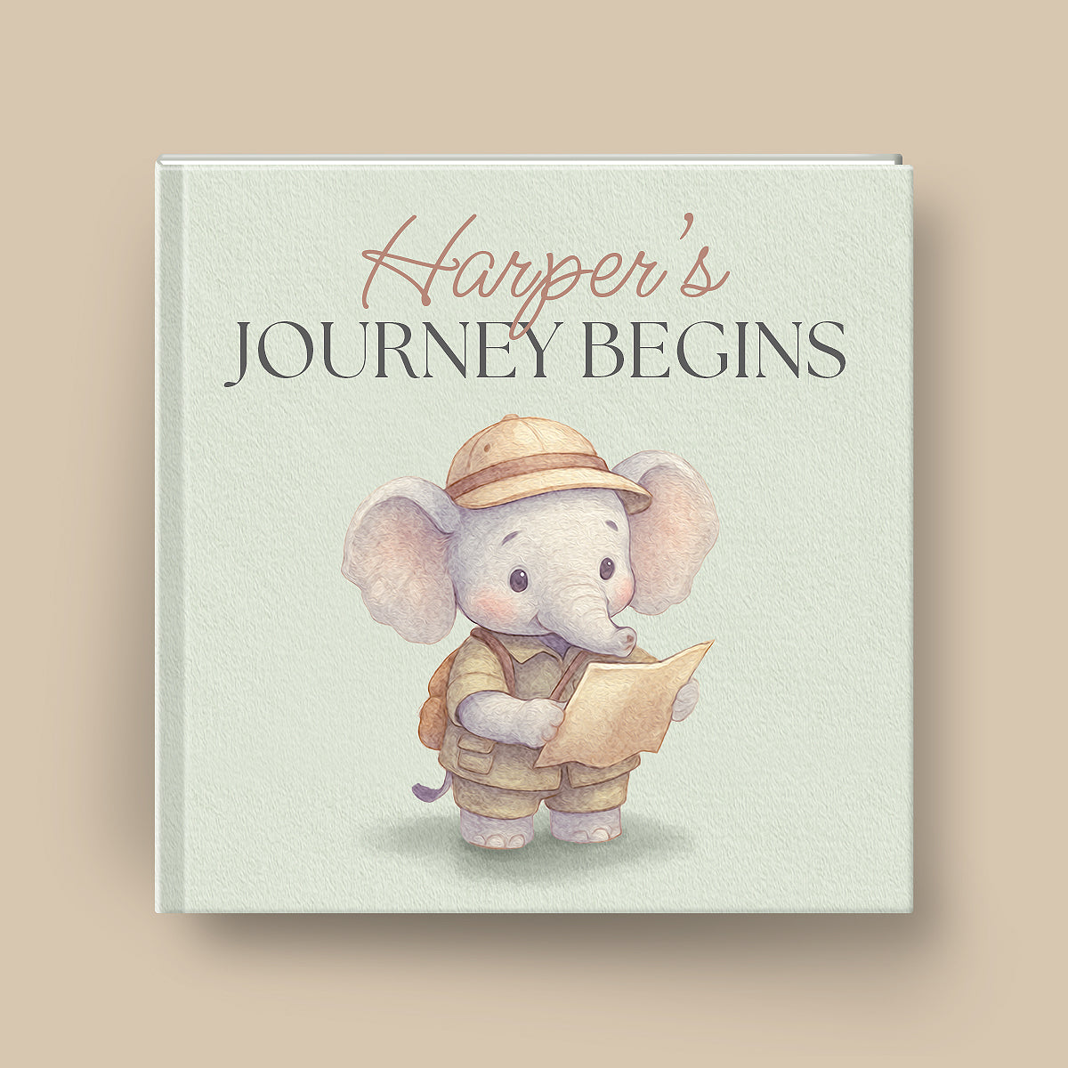 Baby's Journey Begins Personalized Book